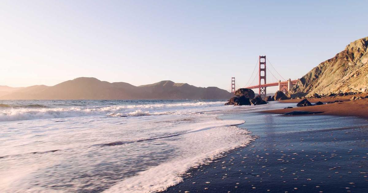 The Notification Tyranny: On Interruption, Attention Economy, and the Exhausting Performance of Being Available