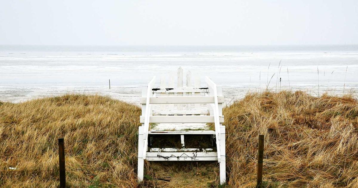 The Thanksgiving Calculus: On Gratitude Performance, Family Diplomacy, and Why I Spent Four Hours Pretending to Eat